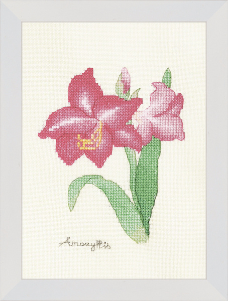 Набор для вышивания "Амариллис". Арт 2032402