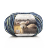 Пряжа Fortissima Merino 4-fach, 75% шерсть, 25% полиамид, 420 м, 100 г. Арт 93042-0101