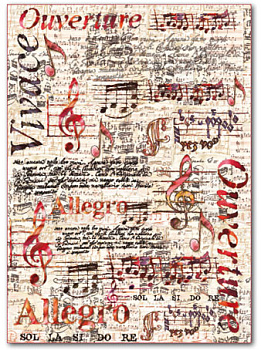 Фетр с принтом "Ноты". Арт FLSG/ST05               