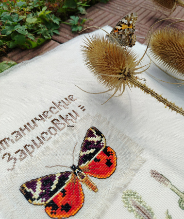 Набор для вышивания "Ботаника. Шток-роза". Арт 03.015.21