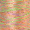 Нить вышивальная мультиколор POLY SHEEN MULTI, 200 м. Арт 4820-9935               