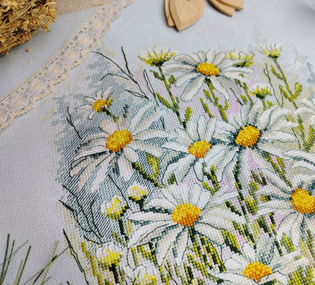 Набор для вышивания "Нивяник". Арт 04.004.19