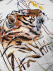Набор для вышивания "Тигр". Арт 03.014.19