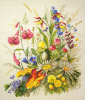 Набор для вышивания "Полевые краски". Арт 06.002.27