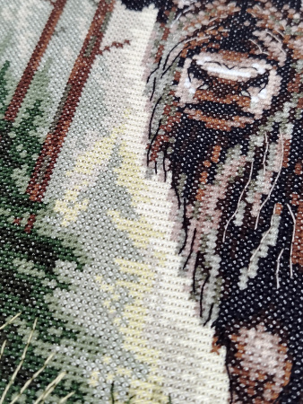 Набор для вышивания "Зубр". Арт 03.014.34