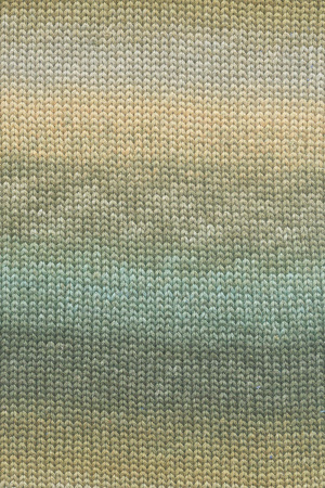 Пряжа Silk Color, 100% шёлк, 100 г, 260 м. Арт 1141.0003