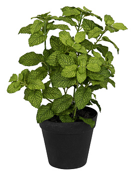 Цветок декоративный в кашпо "Мята". Арт 106281-800