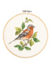 Набор для вышивания "Птицы сада Теи", канва аида 16 ct, диаметр 15 см, 2 дизайна. Арт H611A