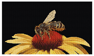 Набор для вышивания "Пчела на желтом цветке", канва аида (черная) 16 ct