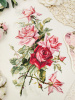 Набор для вышивания "Розы настроения". Арт 06.002.83