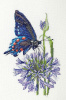 Набор для вышивания  "Синий махаон". Арт 03.015.19