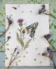 Набор для вышивания "Махаон обыкновенный". Арт 03.015.18