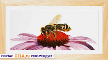 «Пчела на эхинацее» от THEA GOUVERNEUR
