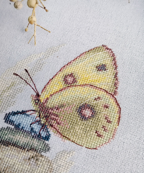 Набор для вышивания  "Желтянка луговая". Арт 03.015.22