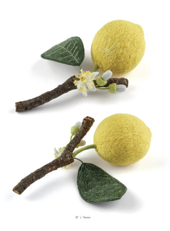 Книга "Botanica.12 авторских дизайнов с цветами и плодами. Объемная вышивка шерстью от Джули Книдл". Арт 978-5-00141-743-9