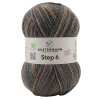 Пряжа Step 6, 75% шерсть, 25% полиамид, 410 м, 150 г. Арт 97825-0736