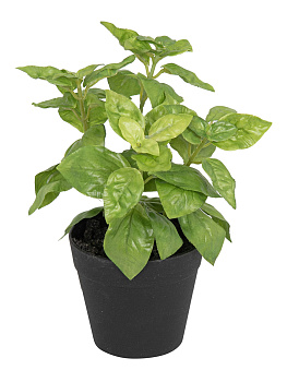 Цветок декоративный в кашпо "Базилик". Арт 106310-800