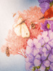 Набор для вышивания "Everyone'sflowerencounter"  . Арт PN-0203633