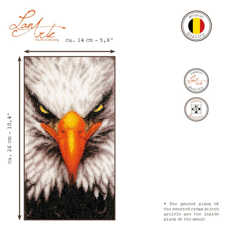 Набор для вышивания "Eagle"  . Арт PN-0199444