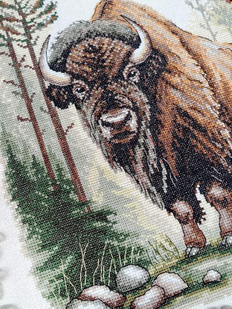 Набор для вышивания "Зубр". Арт 03.014.34