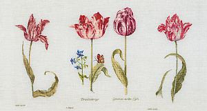 Набор для вышивания "Тюльпаны Джейкоба Маррель и Джудит Лейстер, 16-й век", канва Aida 18 ct