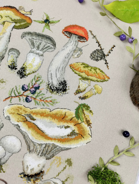 Набор для вышивания "Ассорти грибное". Арт 04.012.08