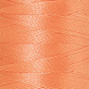 Нить вышивальная  POLY SHEEN, 200 м. Арт 3406-1351               