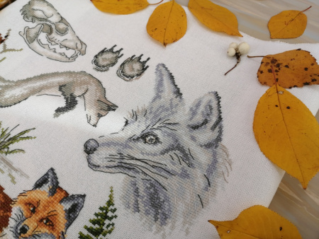 Набор для вышивания "Зоология. Лисица обыкновенная". Арт 03.014.17