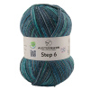 Пряжа Step 6, 75% шерсть, 25% полиамид, 410 м, 150 г. Арт 97825-0739