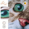 Набор для вышивания "The purrfect stare" . Арт PN-0203542