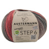 Пряжа Step 6 Irish Rainbow Colours, 75% шерсть, 25% полиамид, 410 м, 150 г. Арт 97826-0678