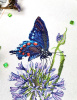 Набор для вышивания  "Синий махаон". Арт 03.015.19
