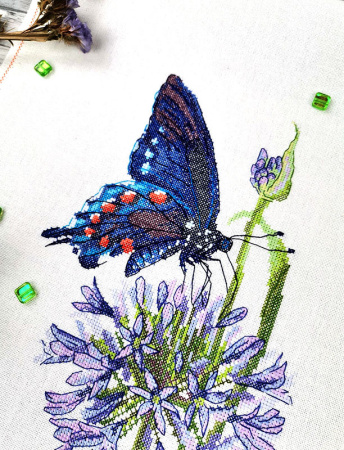 Набор для вышивания  "Синий махаон". Арт 03.015.19