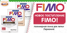 Поступление FIMO