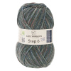 Пряжа Step 6, 75% шерсть, 25% полиамид, 410 м, 150 г. Арт 97825-0634