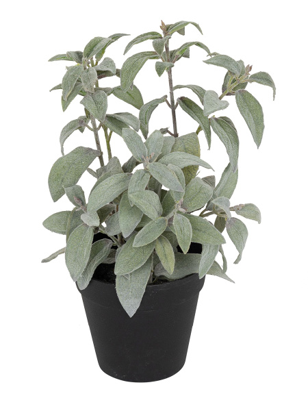 Цветок декоративный в кашпо "Шалфей". Арт 106231-801