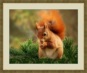 Набор для вышивания бисером «Белка». Арт А405