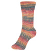 Пряжа Fortissima Socka 4-fach color, 75% шерсть, 25% полиамид, 420 м, 100 г. Арт 90028-2486