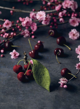 Книга "Botanica.12 авторских дизайнов с цветами и плодами. Объемная вышивка шерстью от Джули Книдл". Арт 978-5-00141-743-9