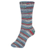 Пряжа Fortissima Socka 4-fach color, 75% шерсть, 25% полиамид, 420 м, 100 г. Арт 90028-2492