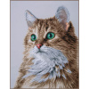 Набор для вышивания "The purrfect stare" . Арт PN-0203542