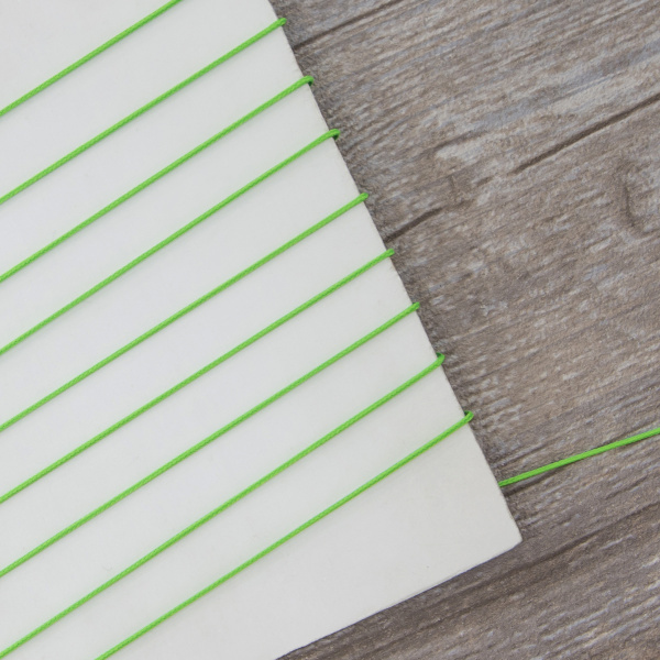 Шнур PEGA полиэстровый неоновый, цвет салатовый, 1,1 мм. Арт 842950000L1805