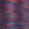 Нить для машинного квилтинга SILK-FINISH MULTI COTTON 50, 1372 м. Арт 9090-9836