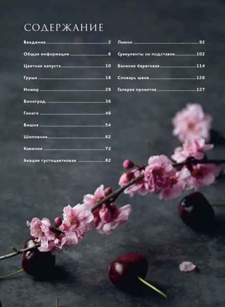 Книга "Botanica.12 авторских дизайнов с цветами и плодами. Объемная вышивка шерстью от Джули Книдл". Арт 978-5-00141-743-9