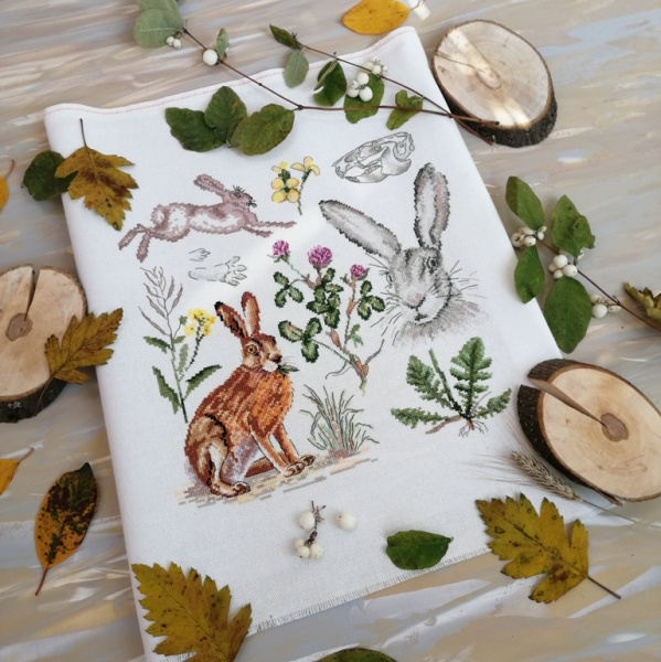 Набор для вышивания "Зоология. Заяц Русак". Арт 03.014.16