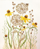 Набор для вышивания "Луговые травы". Арт 04.003.09