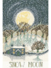 Набор для вышивания "Snow Moon". Арт XDD4