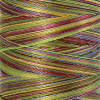Нить вышивальная мультиколор POLY SHEEN MULTI, 200 м. Арт 4820-9977               
