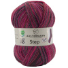 Пряжа Step, 75% шерсть, 25% полиамид, 420 м, 100 г. Арт 97689-0133