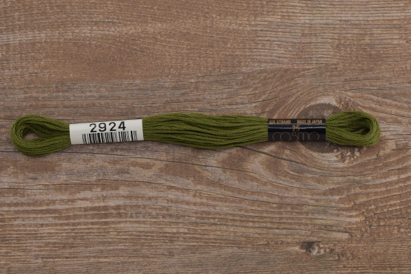 Мулине COSMO однотонный цвет  2924      . Арт 25-6/2924      